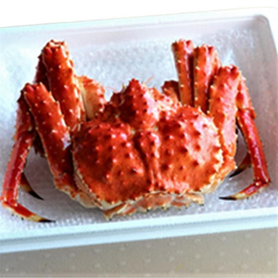 タラバガニ ボイルたらば姿 2.3kg ボイル冷凍 : 北海道めし タラバガニ ボイルたらば姿 2.3kg ボイル冷凍 : 北海道めし