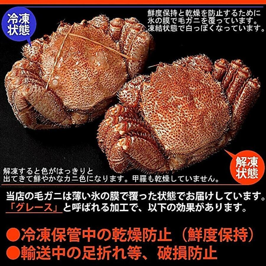 毛蟹 ボイルオホーツク産毛ガニ 450グラム×2尾 : 北海道めし - 通販