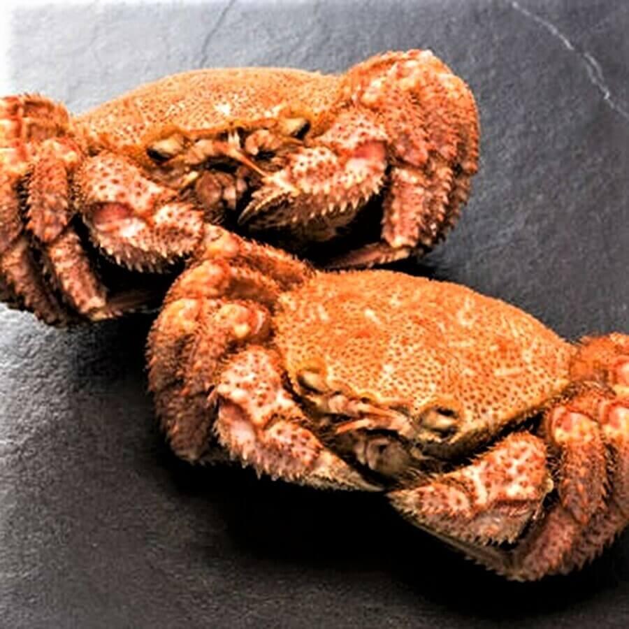 毛蟹 ボイルオホーツク産毛ガニ 450グラム×2尾 : 北海道めし - 通販