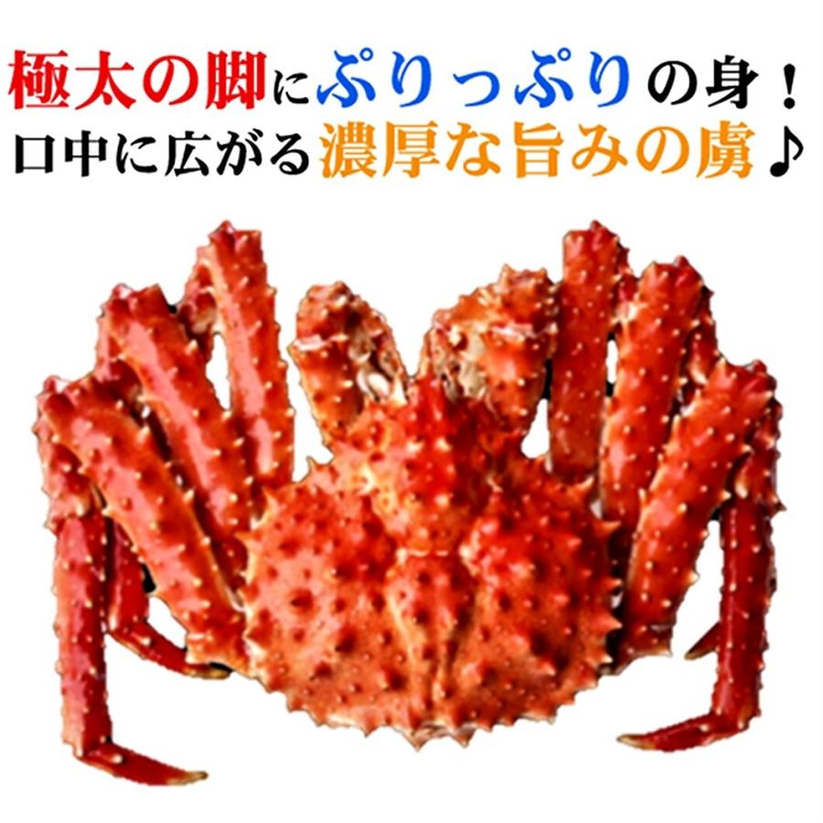 タラバガニ ボイルたらば姿 2.2kg ボイル冷凍 : 北海道めし タラバガニ ボイルたらば姿 2.2kg ボイル冷凍 : 北海道めし