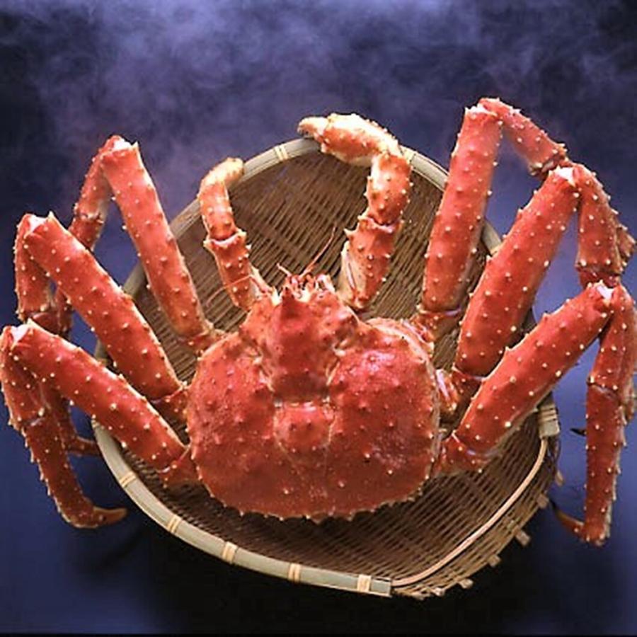 タラバガニ ボイルたらば姿 2.2kg ボイル冷凍 : 北海道めし タラバガニ ボイルたらば姿 2.2kg ボイル冷凍 : 北海道めし