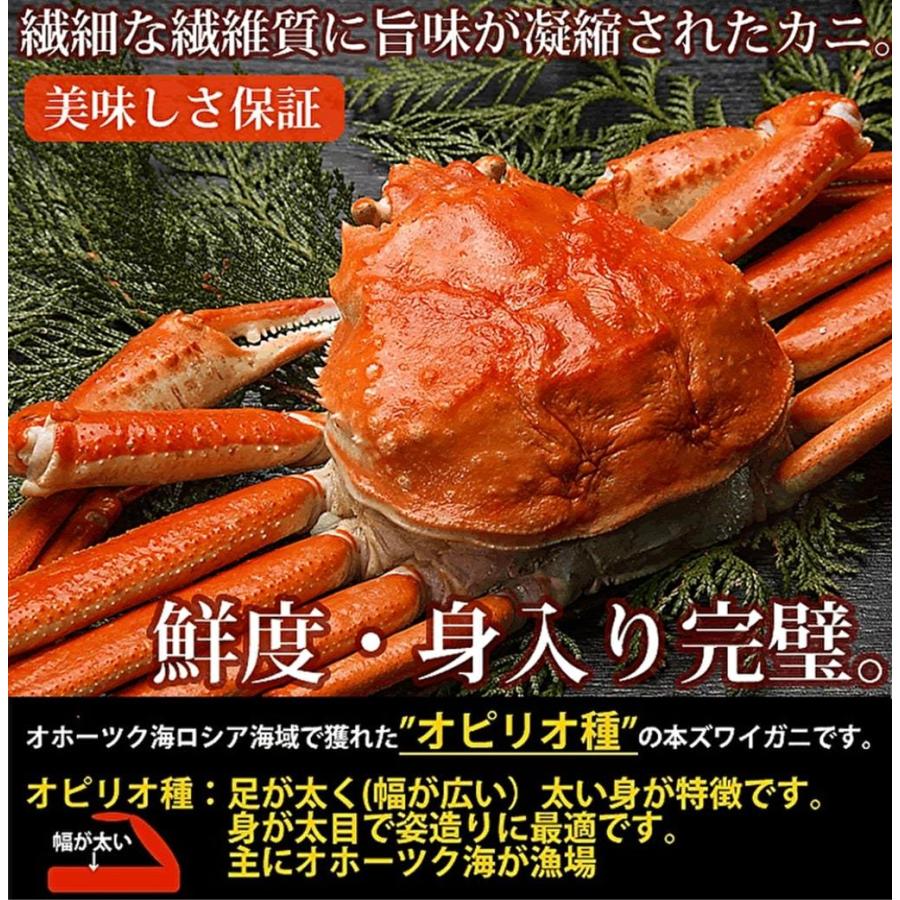 本ズワイガニ姿500グラム×2尾 : 北海道めし - 通販 - Yahoo!ショッピング