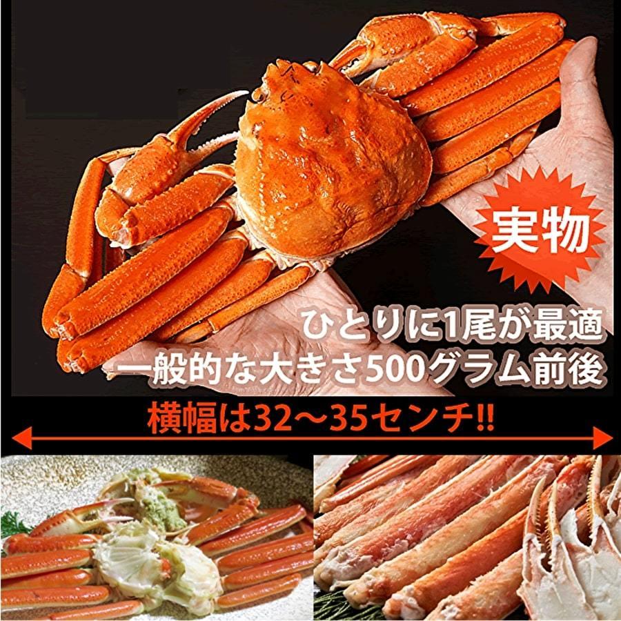 本ズワイガニ姿500グラム×2尾 : 北海道めし - 通販 - Yahoo!ショッピング