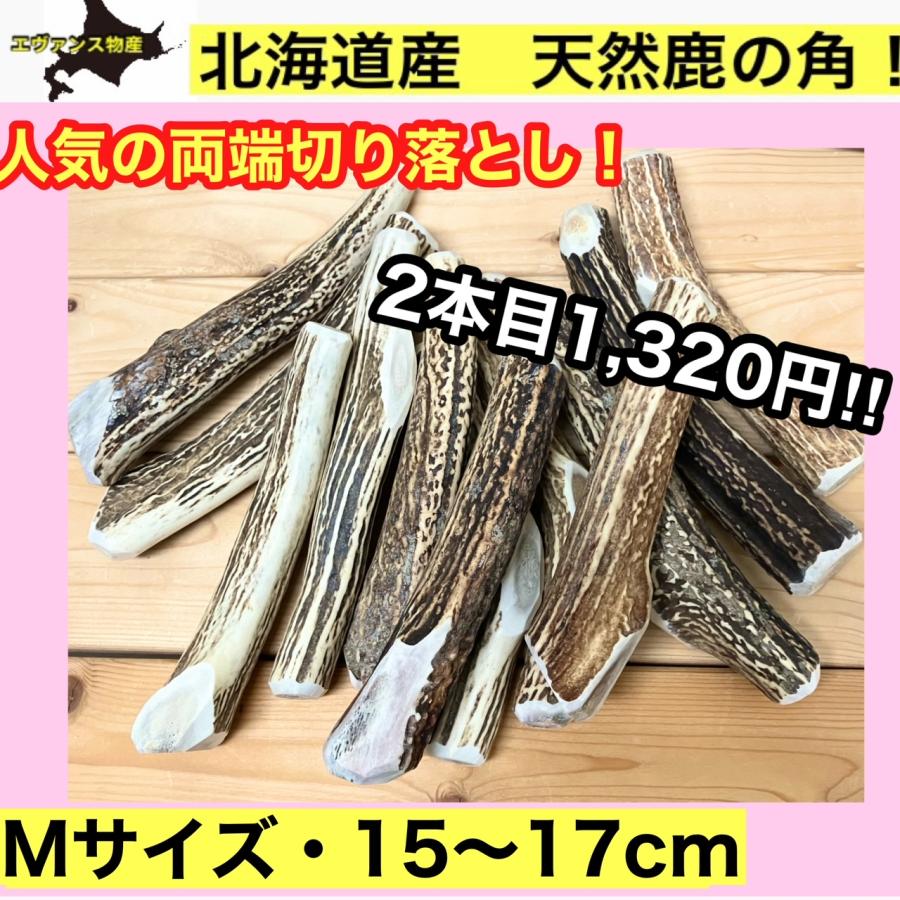M・鹿の角 Mサイズ 北海道産天然鹿の角1本 切断面滑らか!割って M・鹿の角 Mサイズ 北海道産天然鹿の角1本 切断面滑らか!割って