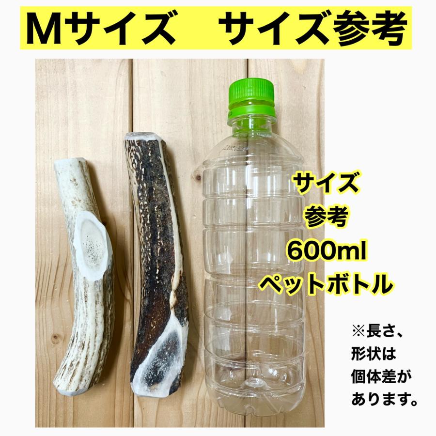 M・鹿の角 Mサイズ 北海道産天然鹿の角1本 切断面滑らか!割って M・鹿の角 Mサイズ 北海道産天然鹿の角1本 切断面滑らか!割って