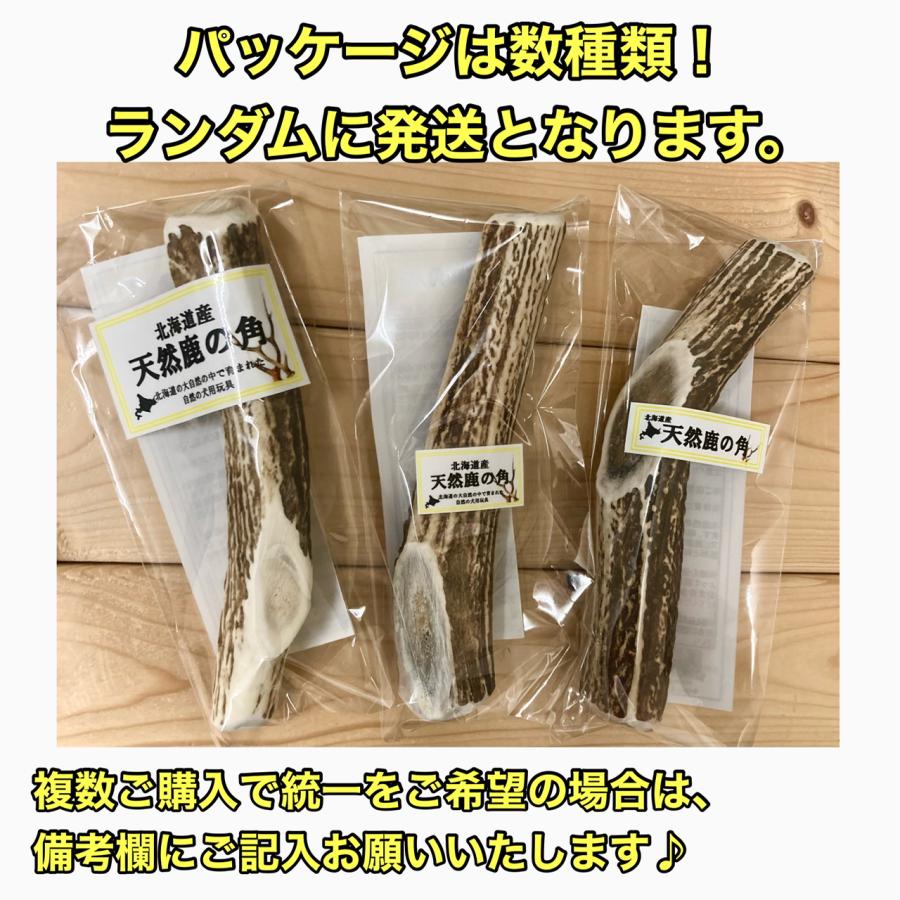 M・鹿の角 Mサイズ 北海道産天然鹿の角1本 切断面滑らか!割って M・鹿の角 Mサイズ 北海道産天然鹿の角1本 切断面滑らか!割って