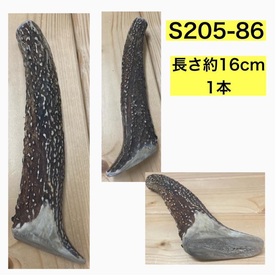 S〜M規定外！！北海道産天然 鹿の角 犬用おもちゃ 安心の切断面