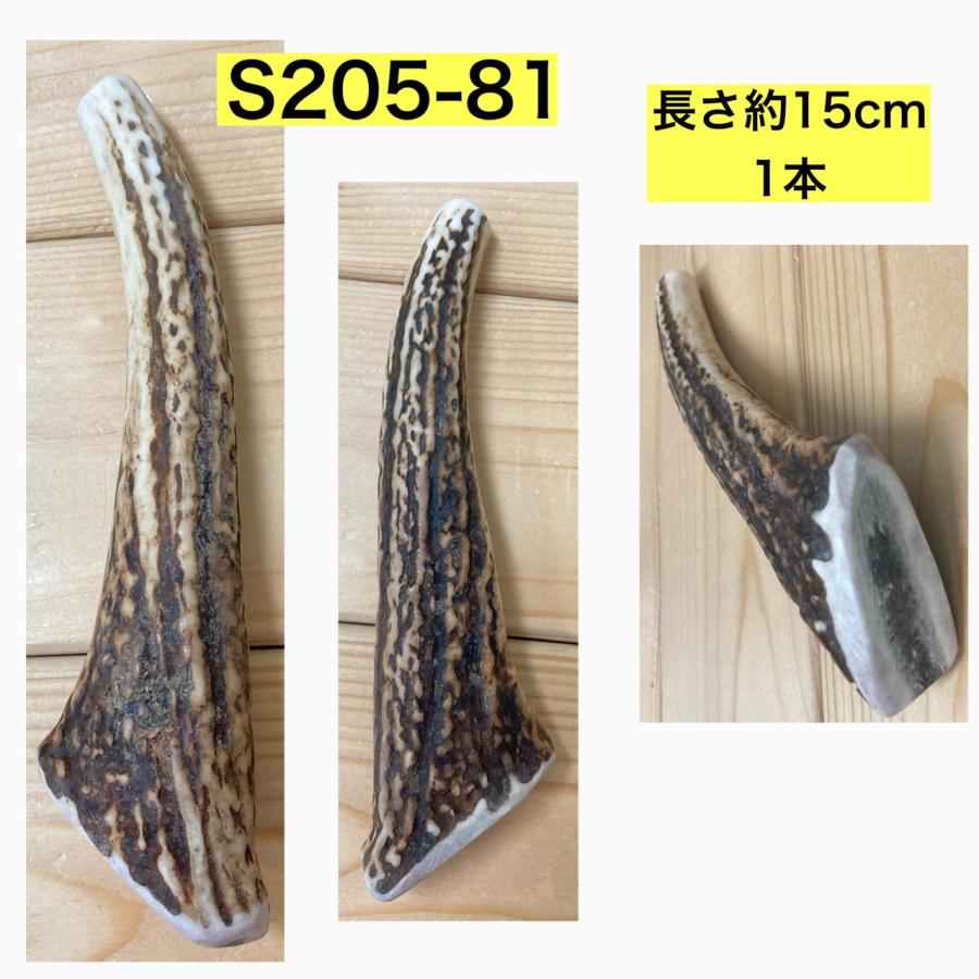鹿の角セット（自然素材） リーフ 鹿の角 Mサイズ 長さ10~14cm以下 小型犬 174615 1個