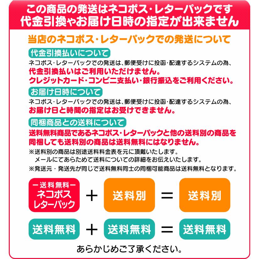 江戸屋 ピリッと甘するめ 45g×2袋 送料無料 珍味 おつまみ スルメ イカ メール便 お中元 御中元 父の日 プレゼント｜hokkaiichibasapporo｜04