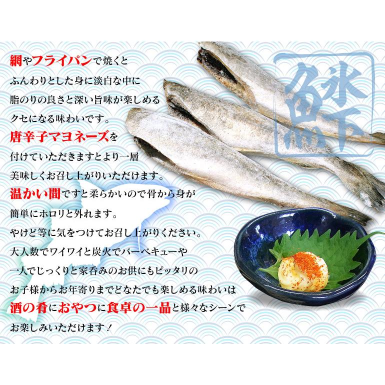 新作続 北海道産 干し こまい 1kg 冷凍 氷下魚 S Mサイズ 北海道海産物 ご当地食品 お返し 内祝 御供 お中元 御中元 父の日 ご挨拶 Supplystudies Com