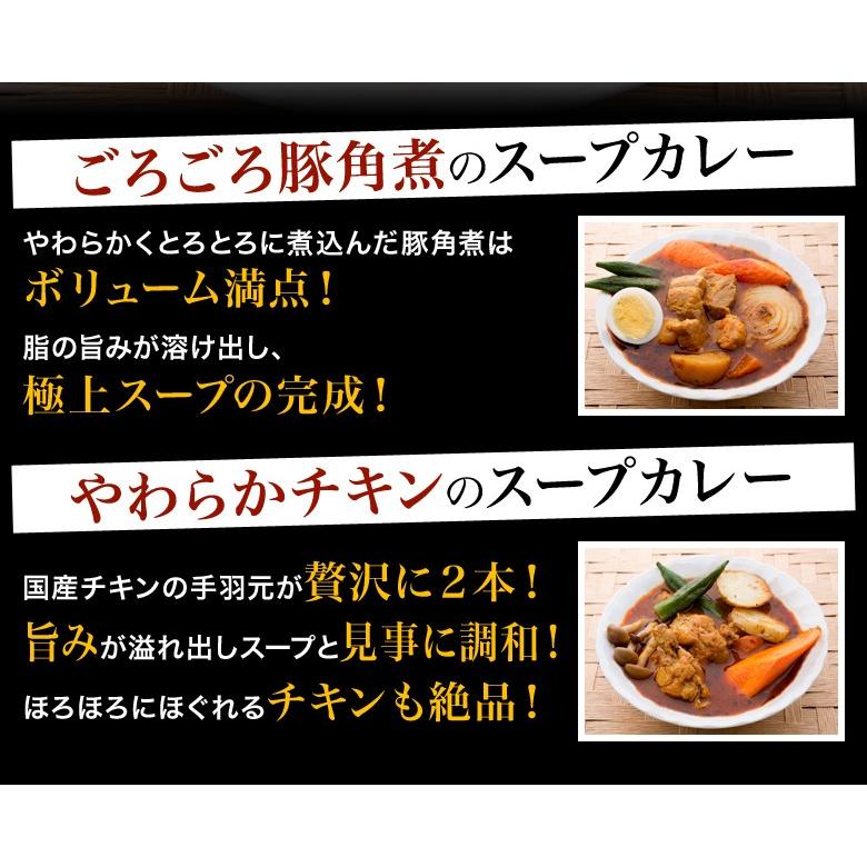 札幌スープカレー 選べる 2食セット 送料無料 チキン 豚角煮 スープカレー 2種類  北海道 スパイス レトルト｜hokkaimaru｜03