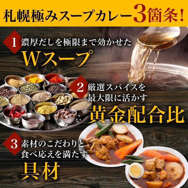 札幌スープカレー 選べる 2食セット 送料無料 チキン 豚角煮 スープカレー 2種類  北海道 スパイス レトルト｜hokkaimaru｜10