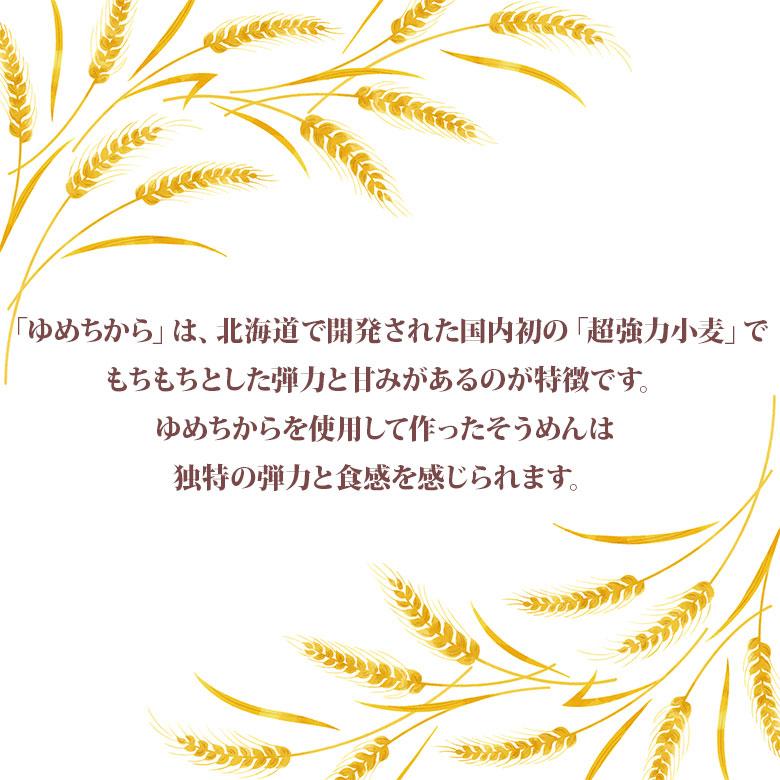 お中元 北海道小麦100％ そうめんギフトセット 6袋 (20食) ゆめちから きたほなみ ソーメン 北海道小麦 お取り寄せグルメ 北海道ギフト 冷麦 贈り物 超強力粉 |  | 04