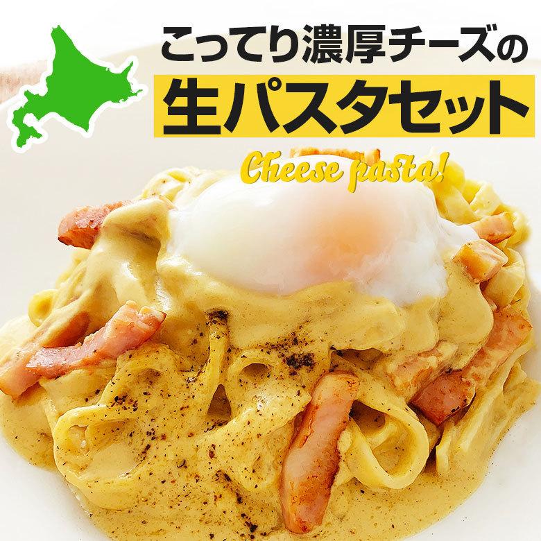 パスタソース パスタセット 生パスタ チーズ 生パスタとチーズソース 2食セット お試し 簡単 レトルト 平麺 イタリアン Circo チルコ 北海道お取り寄せ本舗 通販 Paypayモール