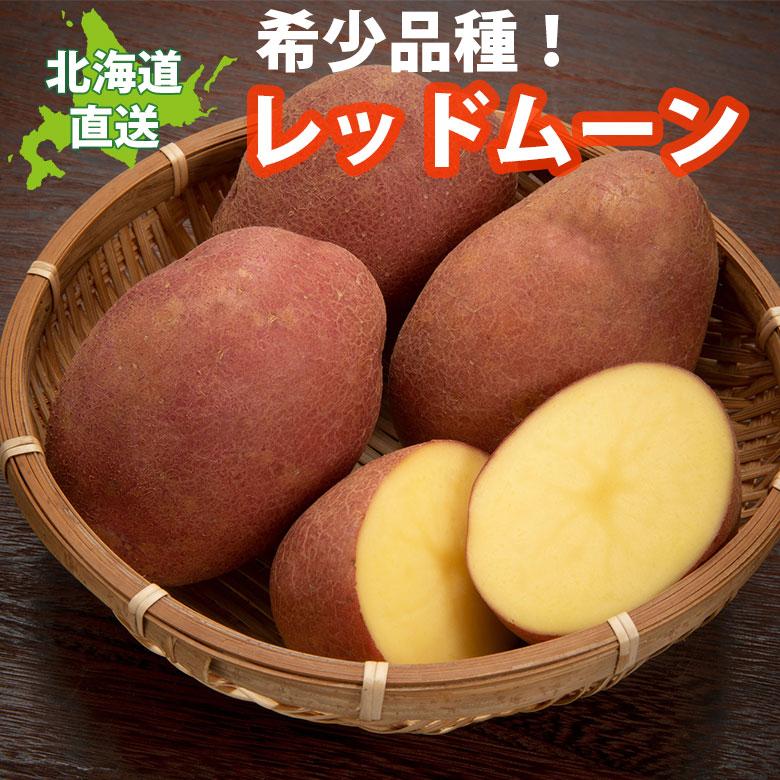 じゃがいも 北海道 レッドムーン 5kg 変わった品種 送料無料 産地直送