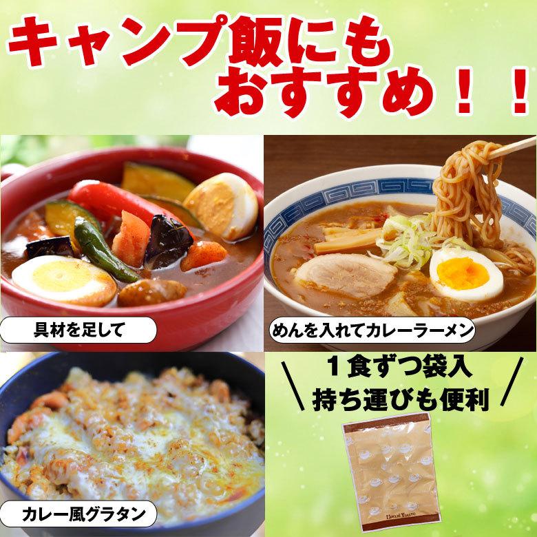 スープカレー 送料無料 8食入 粉末タイプ カレーうどん カレーラーメン カレーメシ｜hokkaimaru｜05