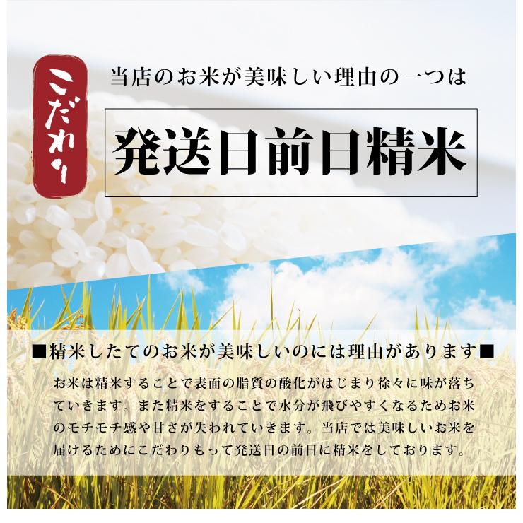 令和５年産 出産内祝い 内祝い 引き出物 香典返し 快気祝い 『 北海道産 ななつぼし 10kg 』 結婚内祝い 新築内祝い 人気 お米 北海道ギフト｜hokkaisetsugekka｜06