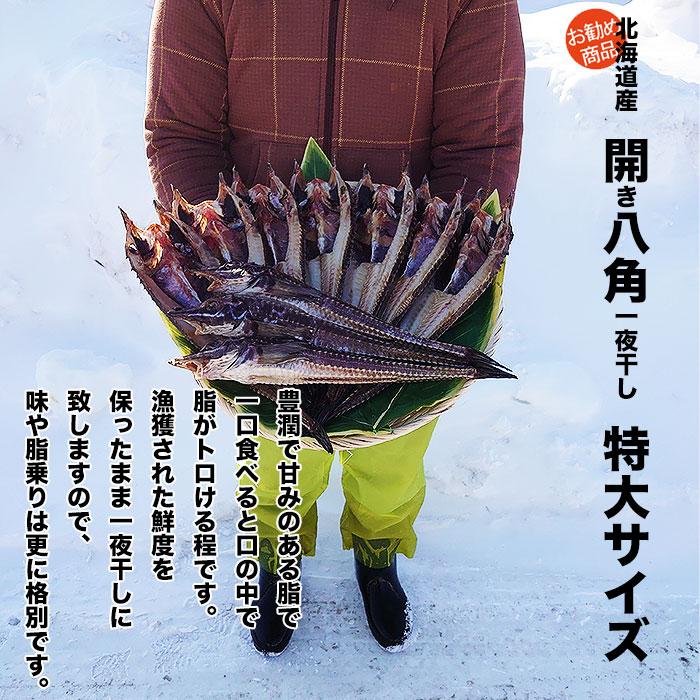 送料無料 北海道産 開き八角一夜干し 特大サイズ5枚セット 1枚170g