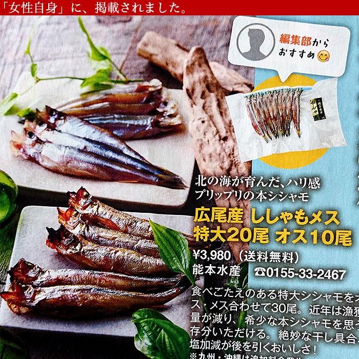 【6頭セット】オオイチモンジ（6メス・北海道産） 送料無料】北海道（広尾産）ししゃも メス特大サイズ20尾（1尾20g〜22g