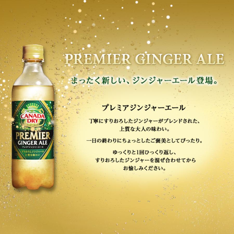 カナダドライ プレミアジンジャーエール 380mlpet 24本 北海道サービスショップ 通販 Paypayモール