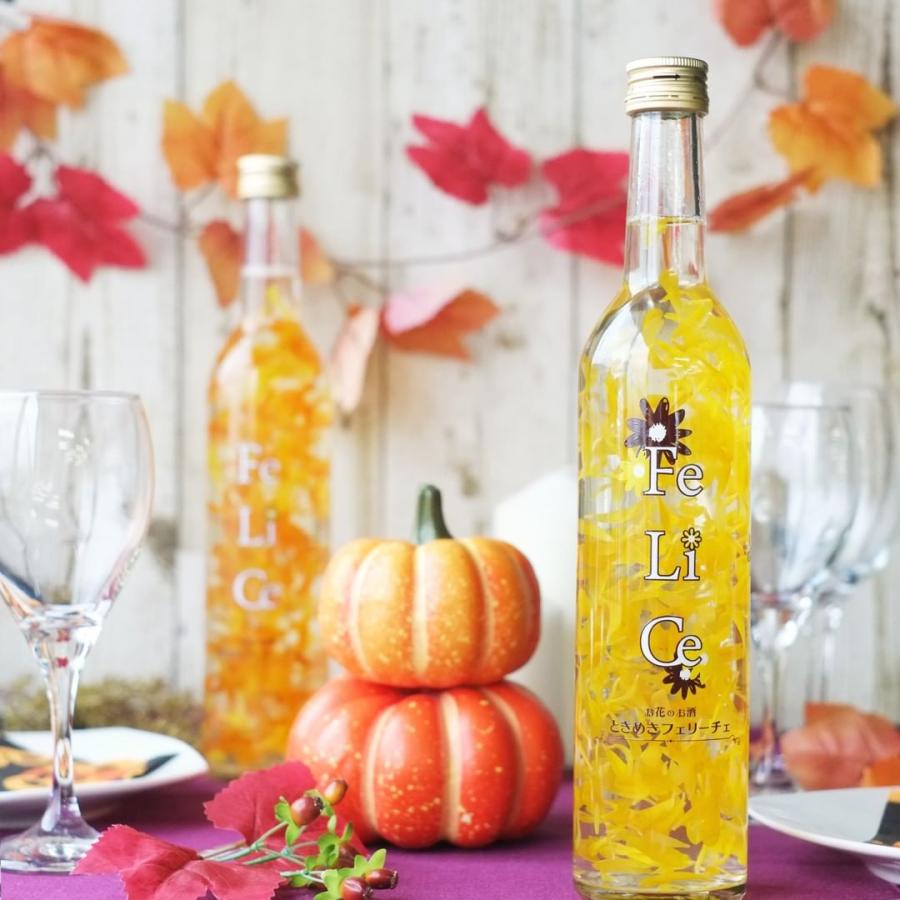 ときめきフェリーチェ 心が躍る楽しい気分を味わえる マンゴー