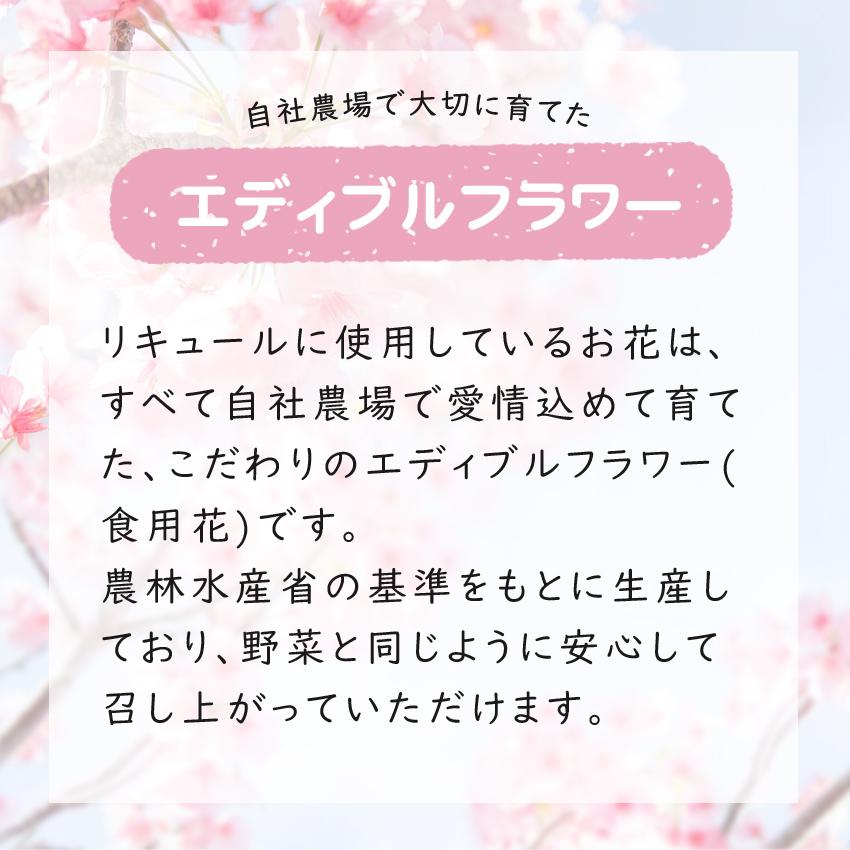 さくらさくらへ　赤富士に桜舞う"和"を感じるリキュール  ピーチ 桃 桜 白ワインベース ギフト プレゼント お酒 カクテル フルーツ 花　リキュール | ブランド登録なし | 04