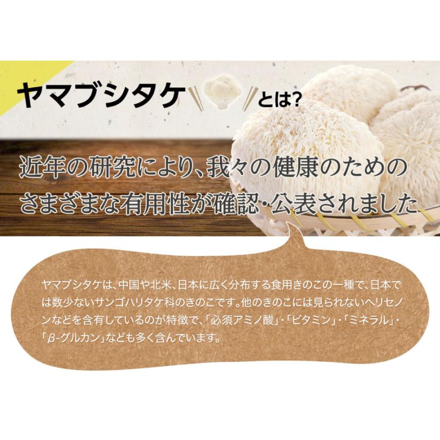 【1000円ポッキリ】7日間お試しセット「記憶の素」21包 ホクト サンプル  山伏茸 ヤマブシ茸 きのこ 菌活 健康食品 サプリメント サプリ 記憶対策 ポイント消化 | ホクト | 04