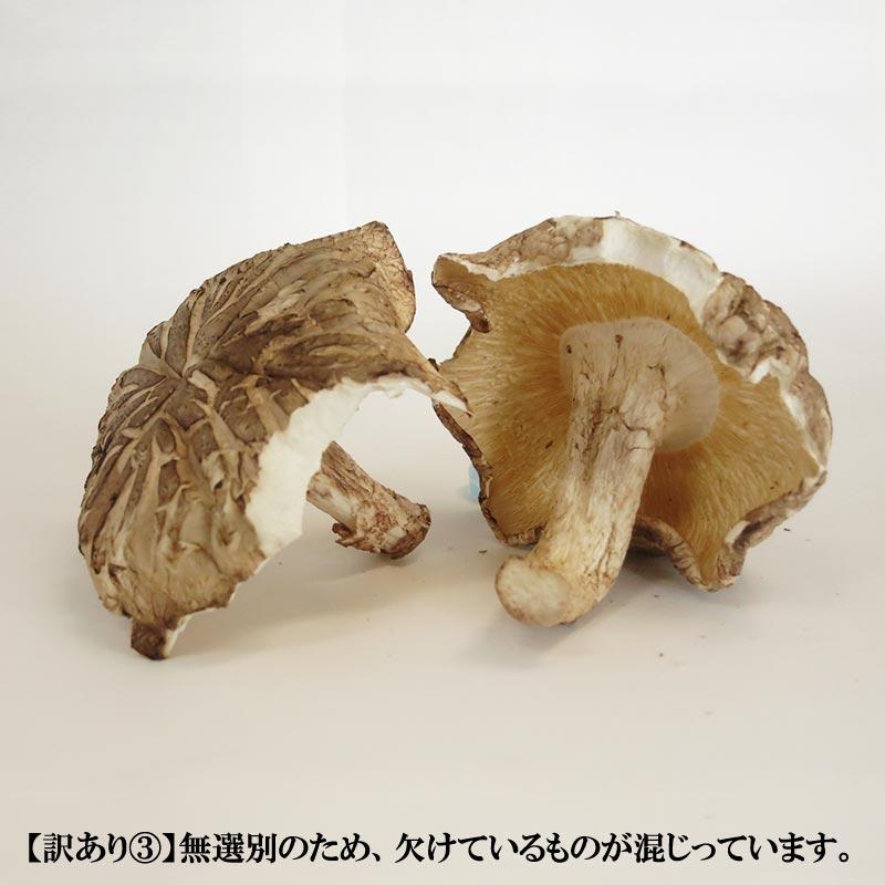 ホクト 【訳あり】国産 干し椎茸 200g【送料無料】 100g×2個 干し