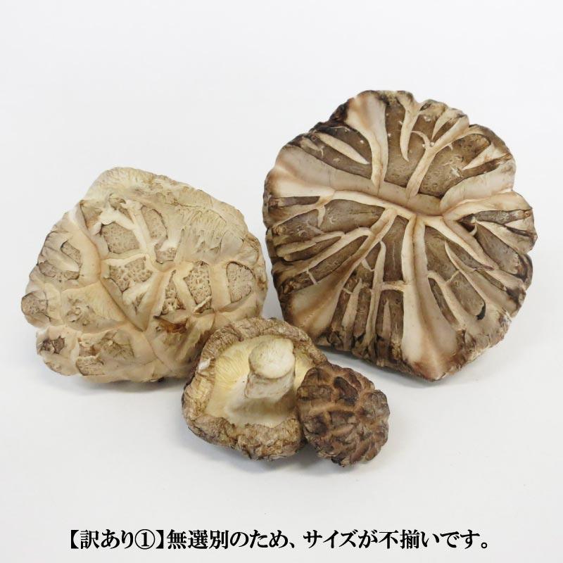 ホクト 【訳あり】国産 干し椎茸 300g【送料無料】 100g×3個 干し