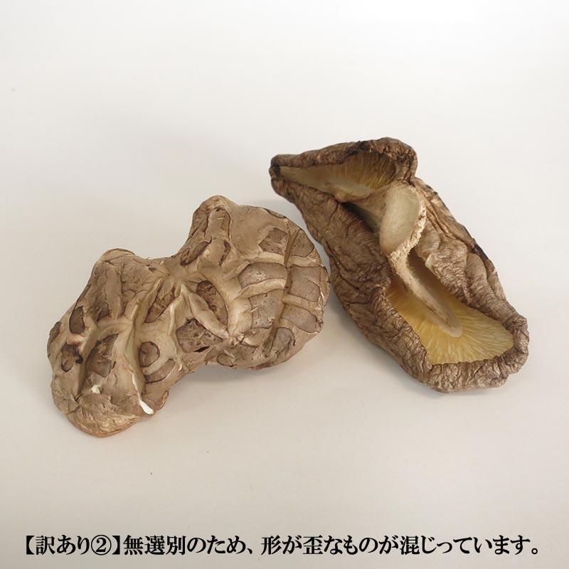 シイタケ様 fit=scale-down,w=1200