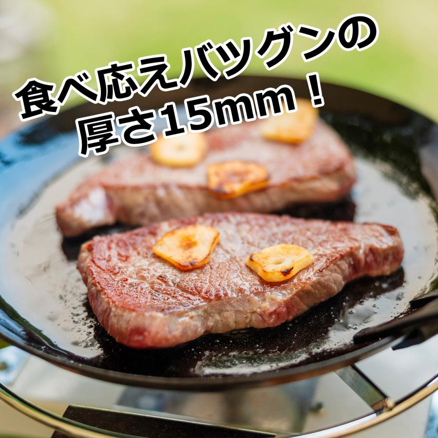 北海道産 牛 カット ステーキ 450g×２ 牛肉 焼肉 BBQ バーベキュー 道産  肉 食品  インジェクション | ホクビー | 06