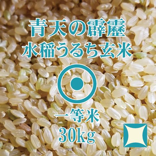 青天の霹靂 玄米 30kg 令和6年産 青森県産 一等米 : ほくべい 青天の霹靂 玄米 30kg 令和6年産 青森県産 一等米 : ほくべい