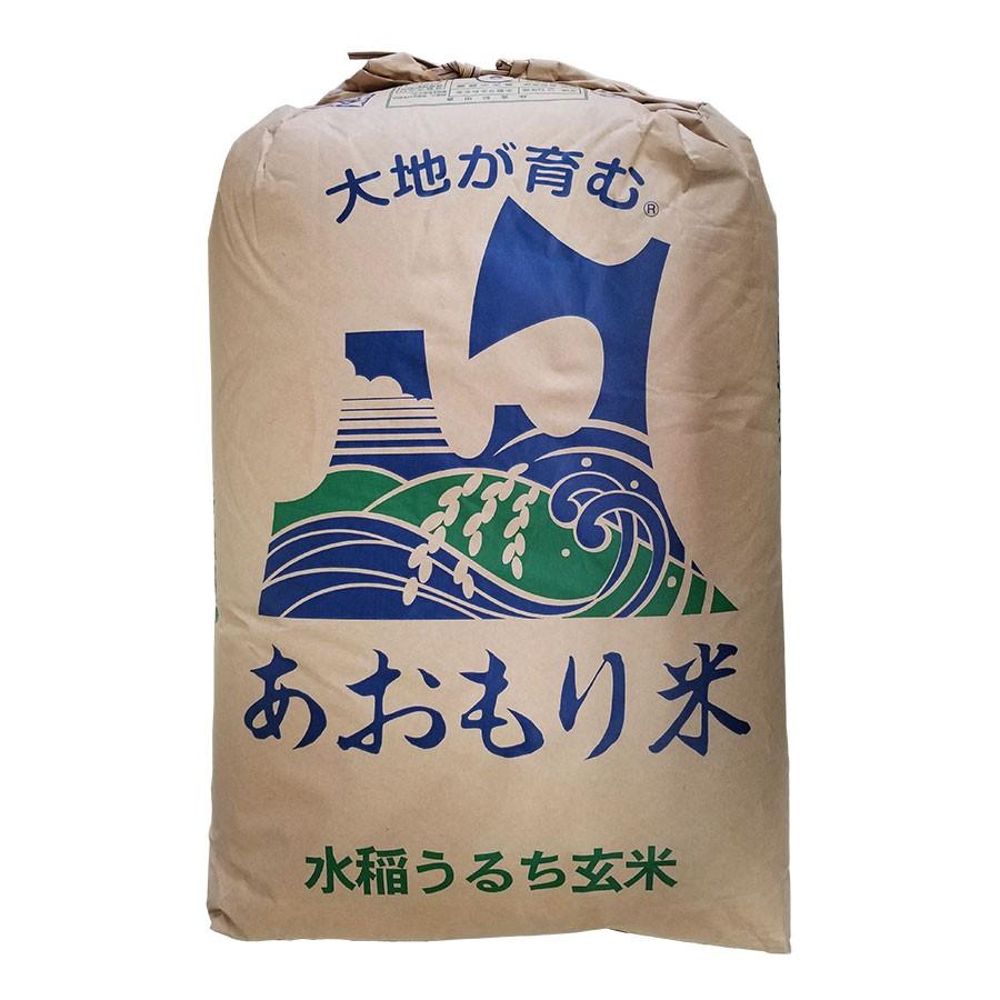 青天の霹靂 玄米 30kg 令和４年産 青森県産 一等米 :01280030:ほくべい