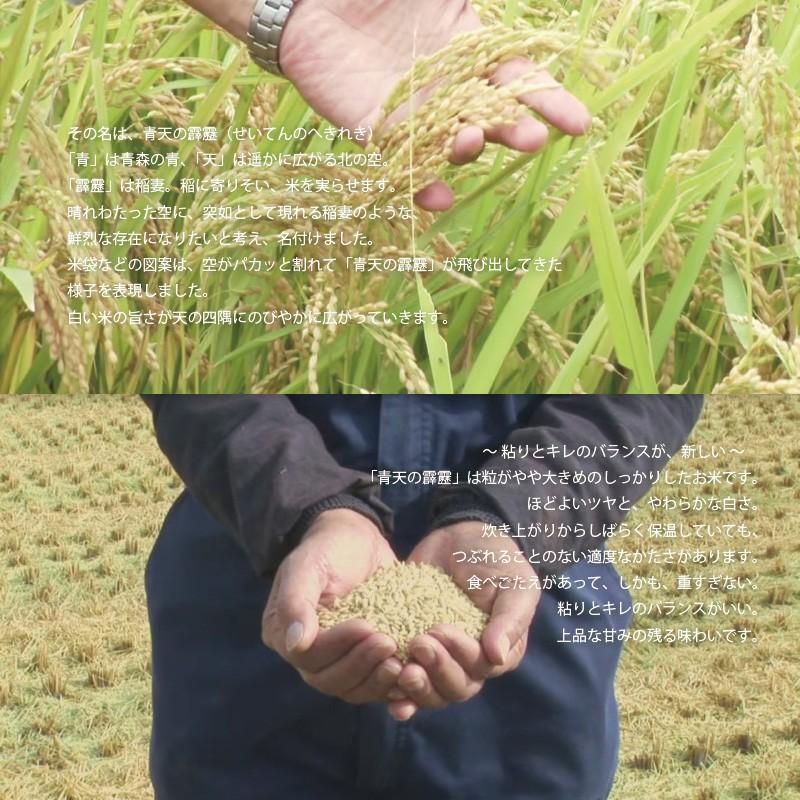 青天の霹靂 玄米 30kg 令和6年産 青森県産 一等米 : ほくべい 青天の霹靂 玄米 30kg 令和6年産 青森県産 一等米 : ほくべい
