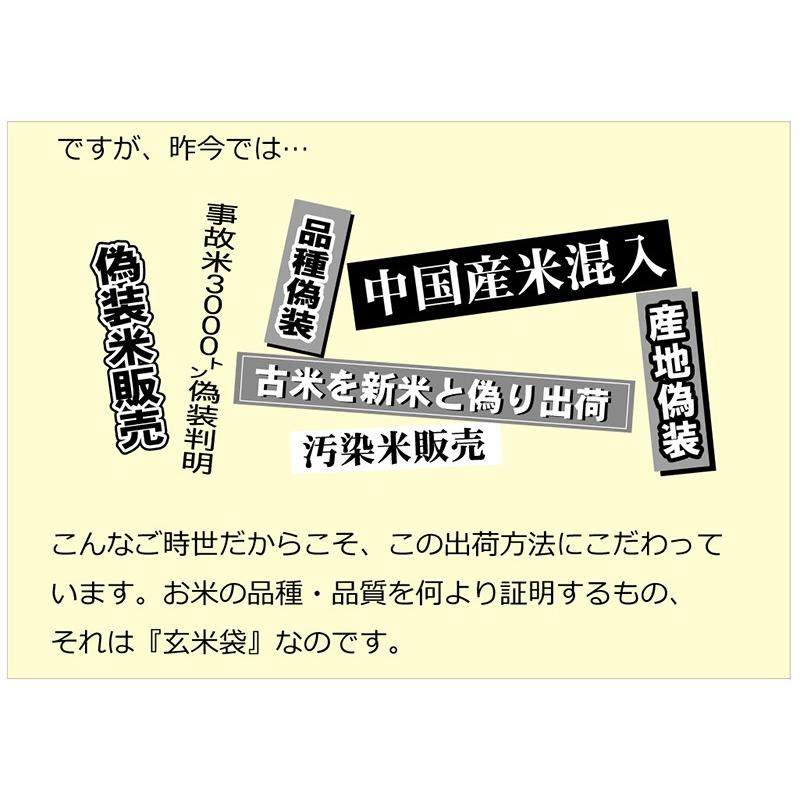 青天の霹靂 玄米 30kg 令和6年産 青森県産 一等米 : ほくべい 青天の霹靂 玄米 30kg 令和6年産 青森県産 一等米 : ほくべい