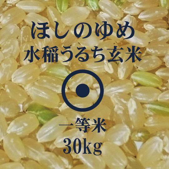 水稲うるち米はえぬき玄米 30kg 5年産
