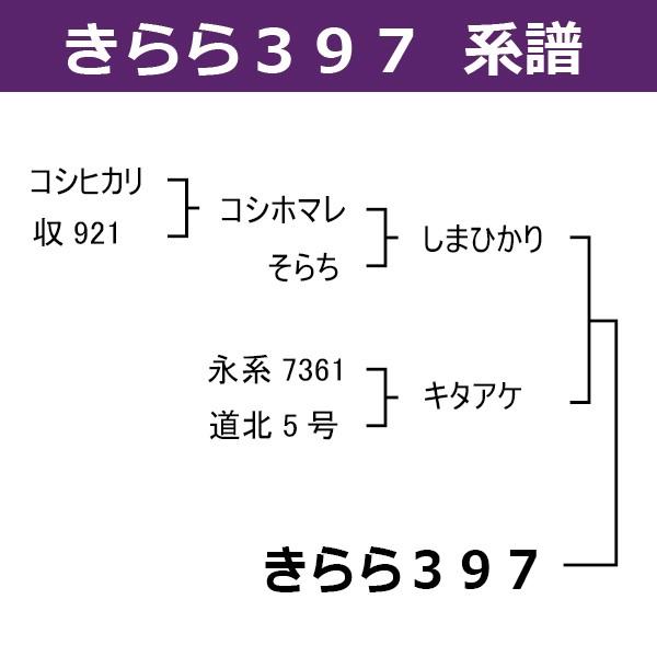 新米30キロ 令和6年新米 あきたこまち玄米30kg 茨城県産 農薬が少ないお米