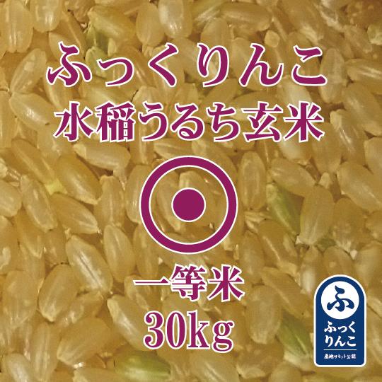 水稲うるち玄米30kg 新米です