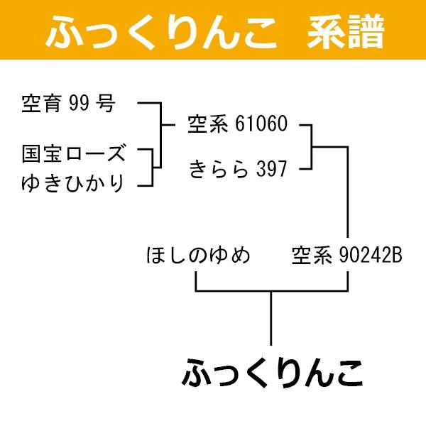 ふっくりんこ 北海道産 玄米 30kg 令和7年産 一等米 爆買 : ほくべい