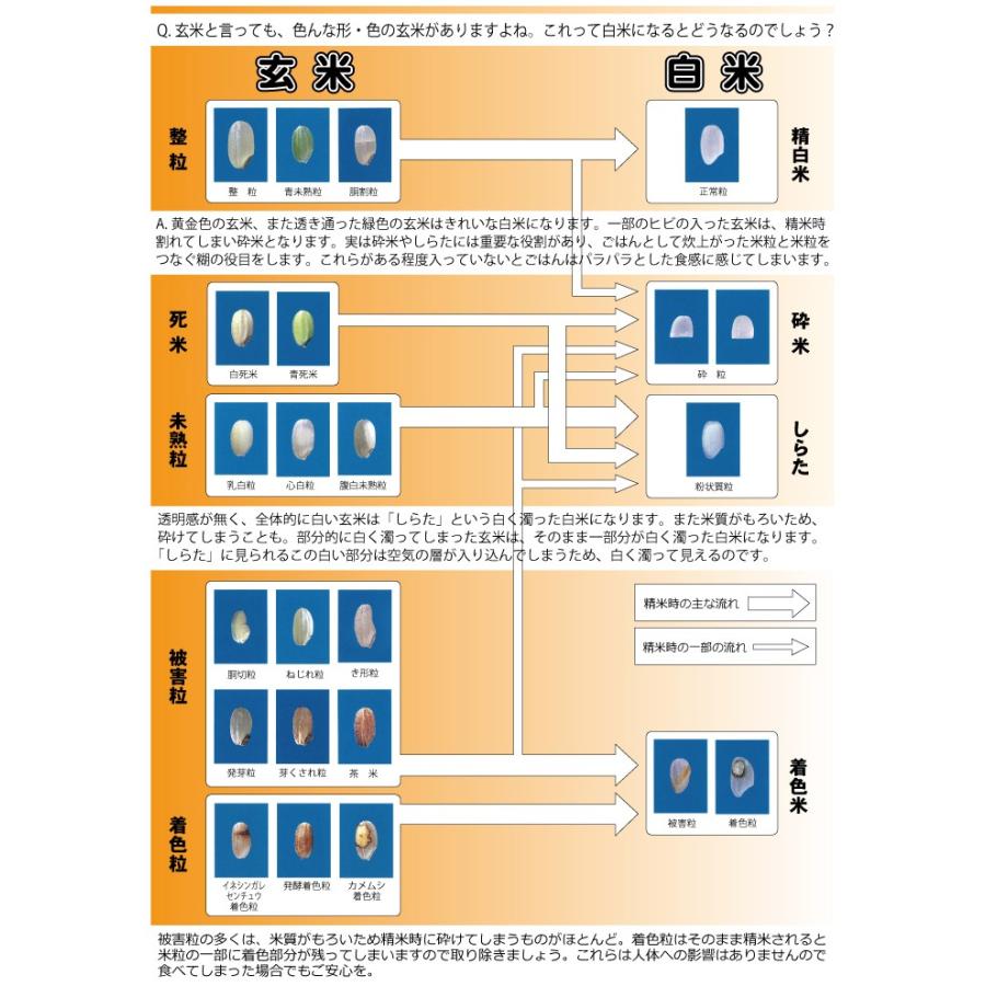 ゆめぴりか 令和6年産 北海道産 玄米 30kg 第一区分 一等米 ゆめぴりか 令和6年産 北海道産 玄米 30kg 第一区分 一等米