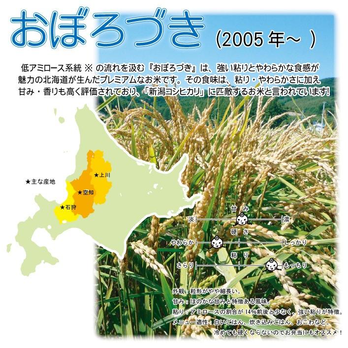 北海道産 おぼろづき 玄米 30kg 令和7年産 爆買 一等米 低アミロース