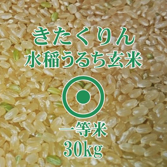北海道産 きたくりん 玄米 30kg 令和7年産【東川米】一等米 爆買