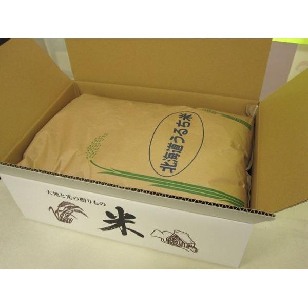 はくちょうもち 北海道産 もち米玄米 30kg 令和7年産 一等米 北海道米