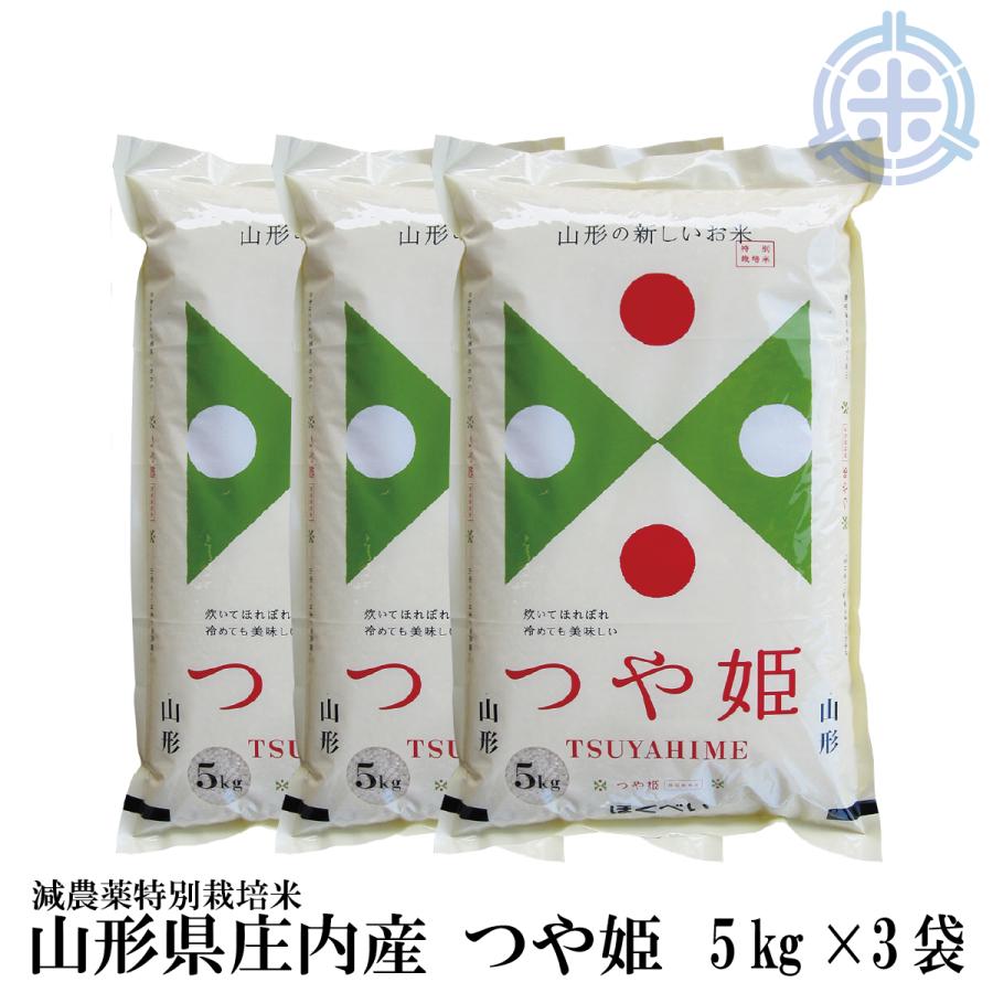 ふるさと納税 【6回定期便】九州産うなぎ蒲焼2尾 秘伝つゆだくタレ付 