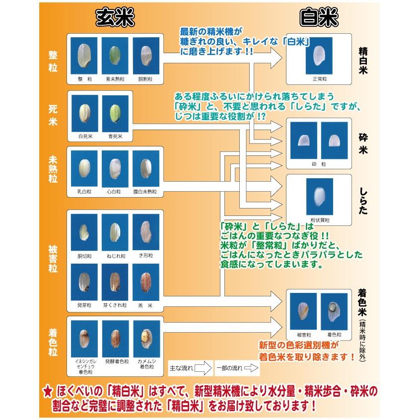 送料無料（沖縄・離島除く）北海道産（当麻産）ほしのゆめ　25kg (５kg×５袋)　精米 籾貯蔵 白米 令和5年産 真空パック対応 米　お米　白米｜hokubei-shop｜07