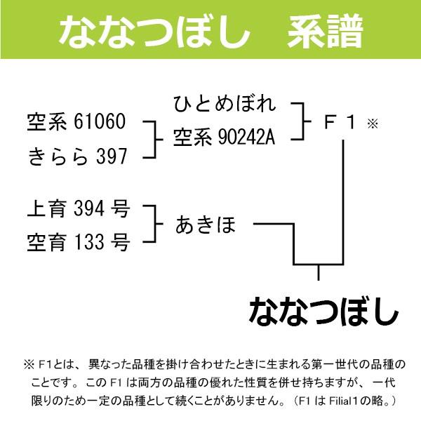 北海道産　ななつぼし　極　令和5年産　5kg　送料無料　白米 米5kg お米 5kg 　特Ａ産地限定　真空パック対応｜hokubei-shop｜03