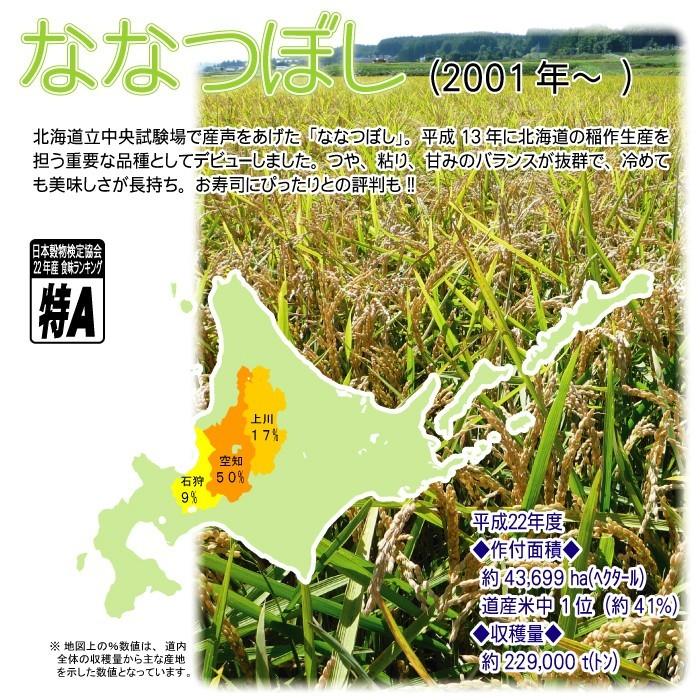ななつぼし 北海道産 極 令和7年産 送料無料 白米20kg 米 お米 (5kg×4
