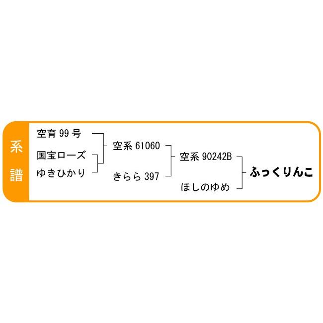 令和5年産　ふっくりんこ 精米 お試しパック　メール便　送料無料　北海道産　450g (3合)　ポイント消化 ポイント消費｜hokubei-shop｜04