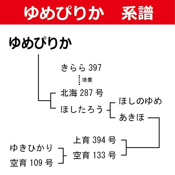 令和7年産 北海道産 ゆめぴりか ブランド協議会認証マーク品 15kg 白米（5kg×3袋）真空パック対応 米　お米_2