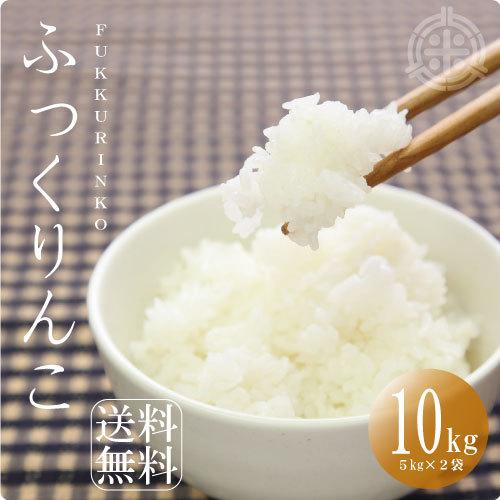 ふっくりんこ 北海道産 10kg（5kg×2袋）白米 令和6年産 米 10kg 送料